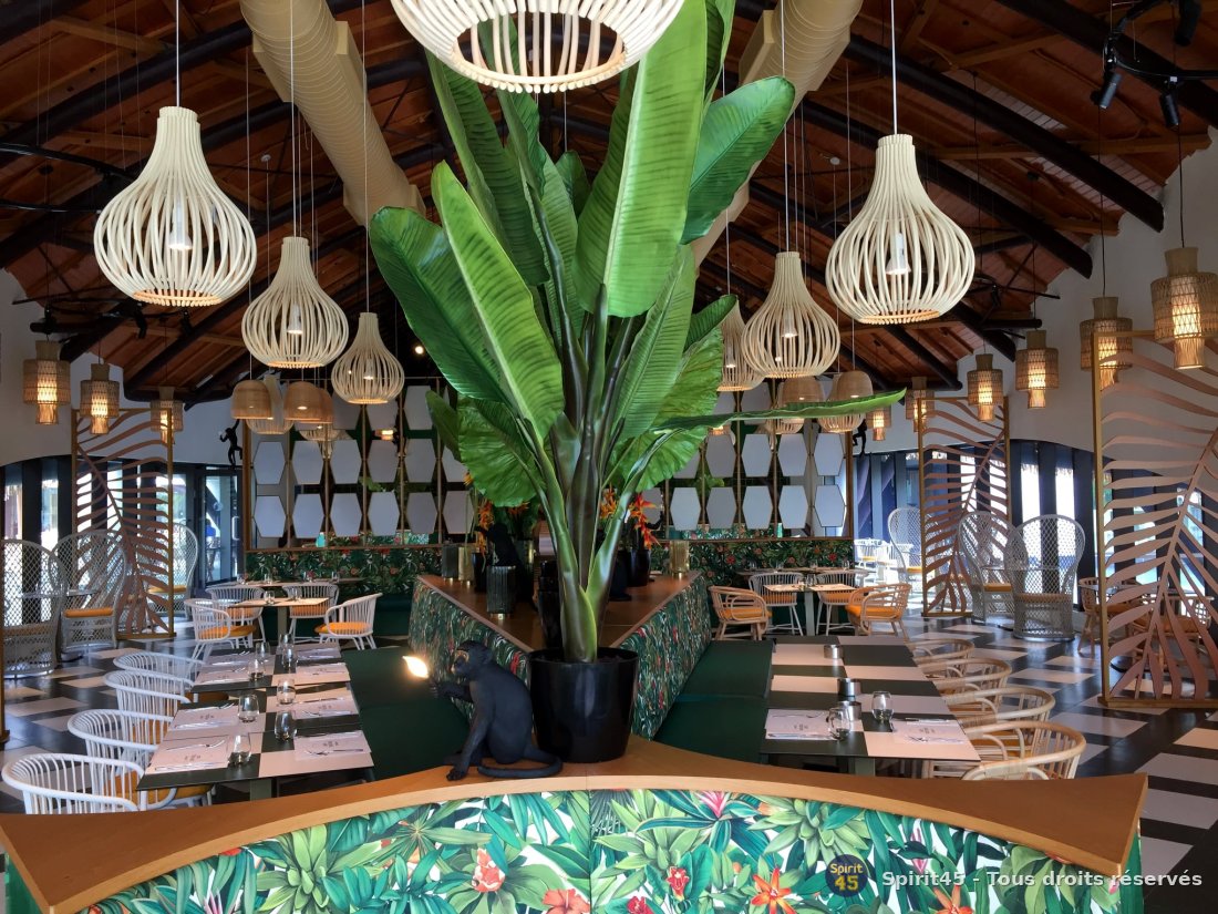 Club Med Michès