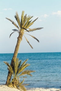 Djerba la Douce