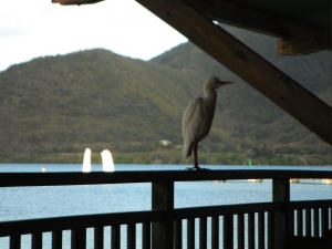 club Med Les Boucaniers