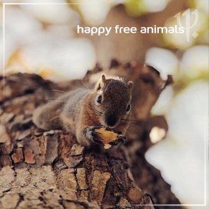 Happy Free Animals