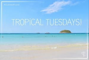 Tropical Thuesday