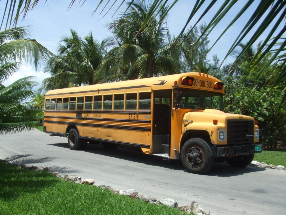 School bus.JPG