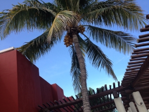 Cancun - Bleu cocotier...