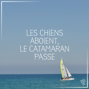 LES CHIENS ABOIENT LE CATAMARAN PASSE !