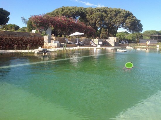 piscine-naturelle-espace.jpg
