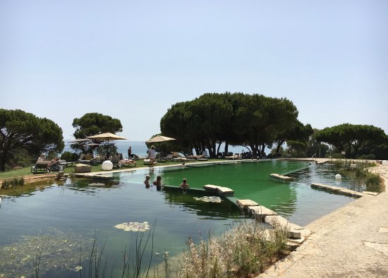 piscine-naturelle-zone.jpg