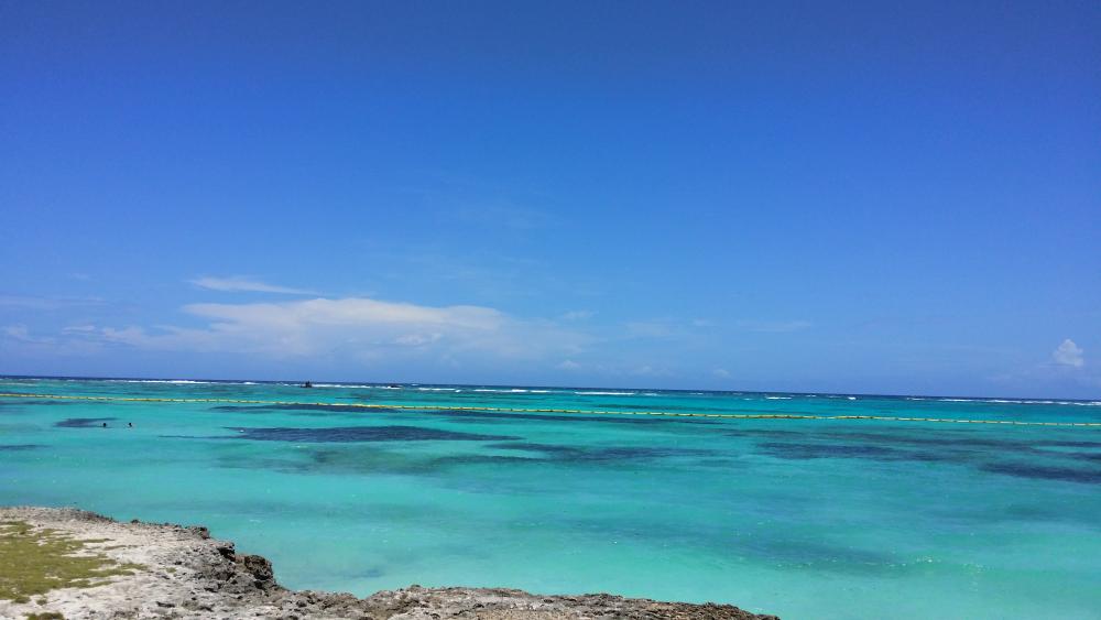 20160709_134440.jpg