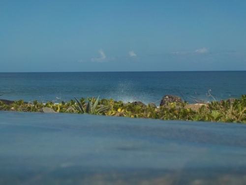 DSCN0331.JPG