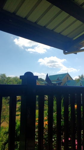 IMG_20171029_082638747.jpg