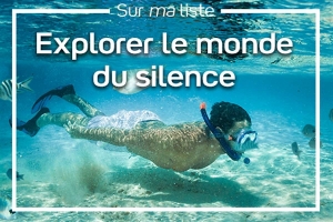 Explorer le Monde du Silence