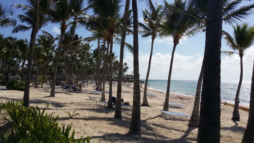 20150820_092548.jpg