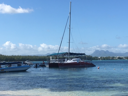 B541637D-A73F-4376-AE3D-4514C4338D38.jpeg