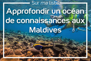 Approfondir un Océan de connaissances aux Maldives