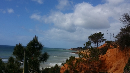 20180330_111035.jpg