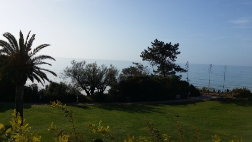 20180331_093741.jpg