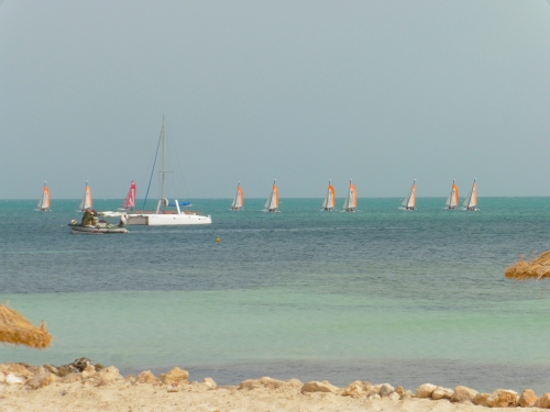 P1010860.JPG