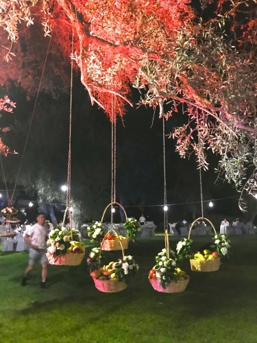 3D27AFAF-C8F3-4282-8C06-6D275773557D.jpeg