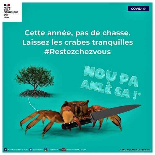 Des nouvelles de l'ile.jpg