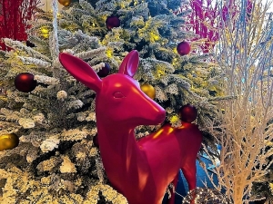 Biche de Noël