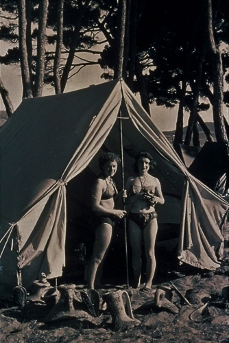 Club Med Alcudia.jpg
