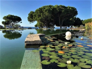 La piscine écologique