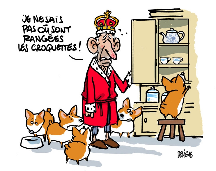 Roi Charles.jpg
