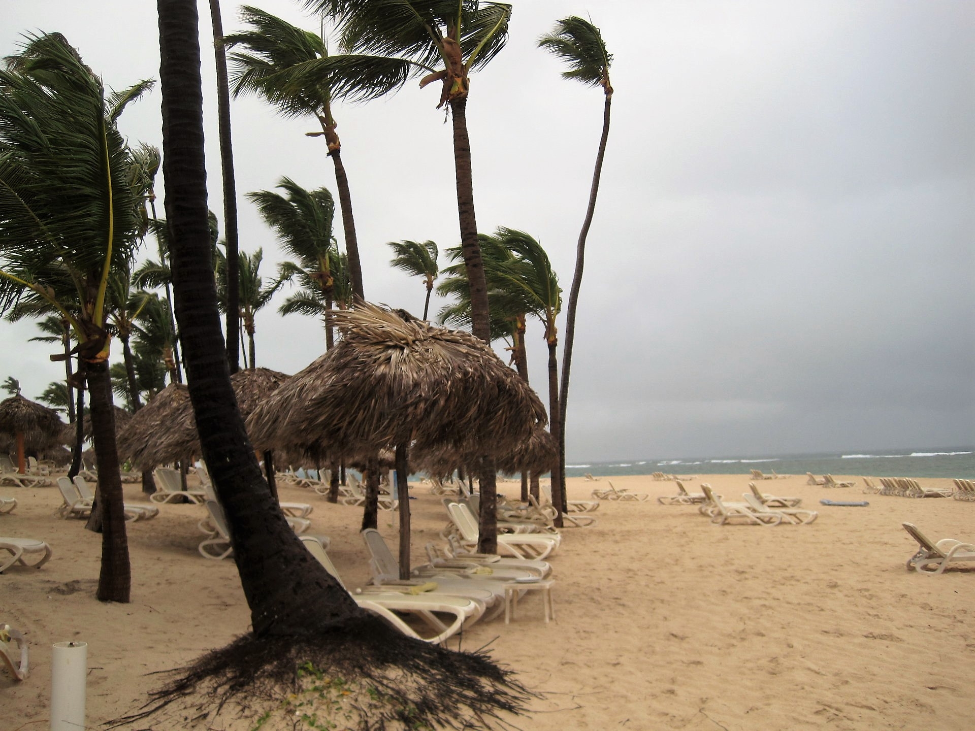 Punta Cana.jpg