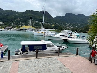 IMG_6881.jpg