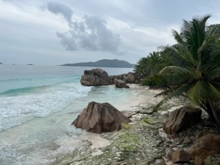 IMG_7043.jpg