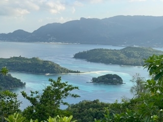 IMG_7382.jpg