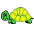 -Tortue Seychelles.gif
