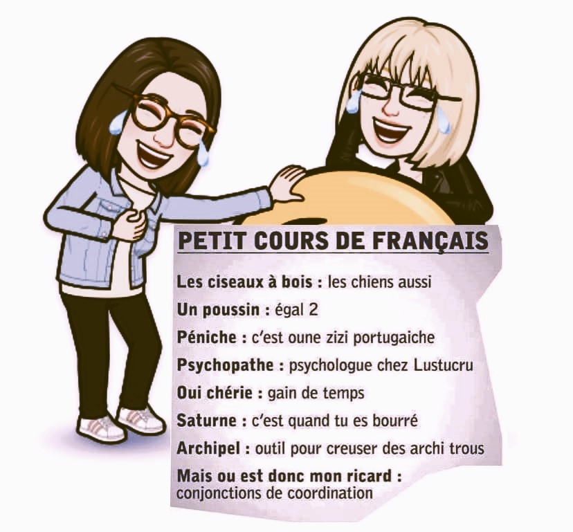 ZZ Cours de français pour les nuls.jpg