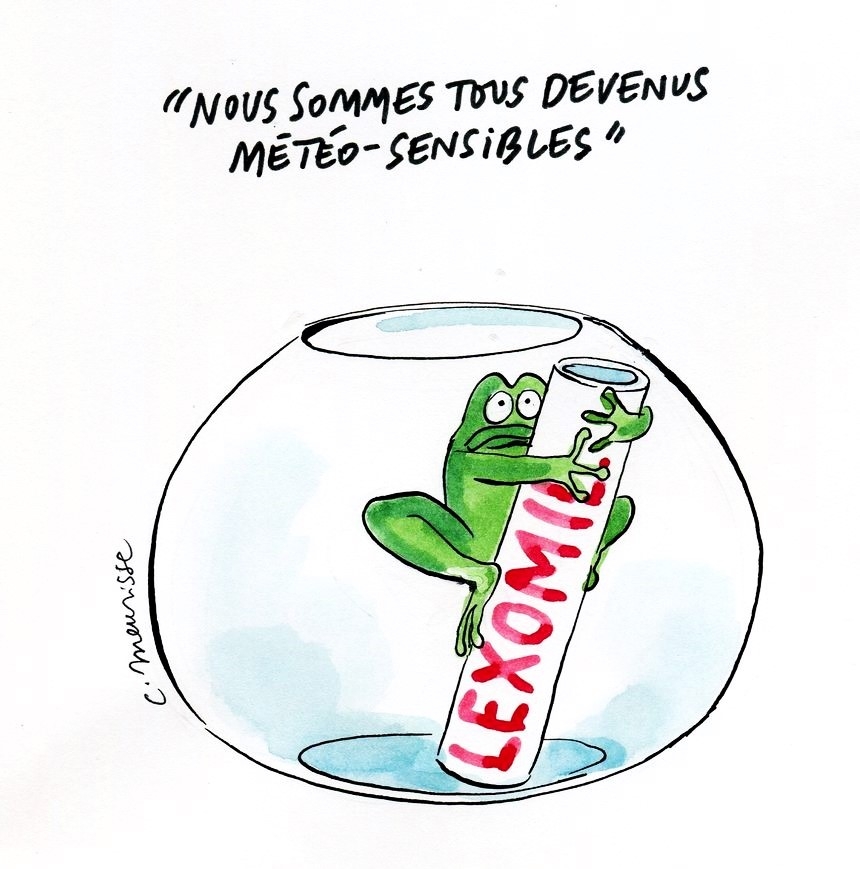 ZZ Météo.jpg