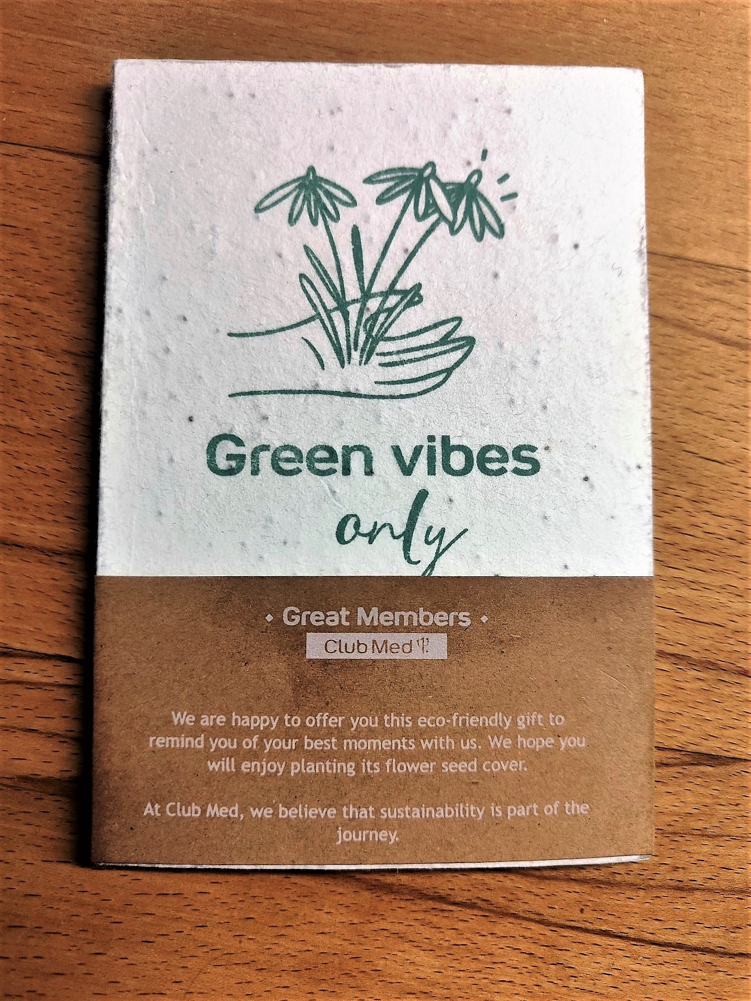 Carnet de notes Green Vibes.jpeg